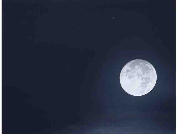 'Turtles Graced by the Poipu Moonlight' Photo by Dr Lloyd Fujimoto