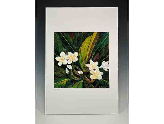 White Plumeria Limited Edition Giclee Print by Liedeke Bulder