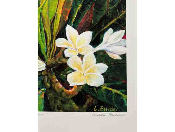 White Plumeria Limited Edition Giclee Print by Liedeke Bulder