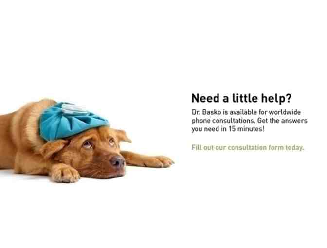 Holistic Pet Exam & Consultation with Dr. Ihor Basko, DVM &ndash; Kauaʻi