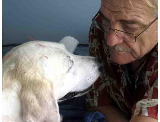 Holistic Pet Exam & Consultation with Dr. Ihor Basko, DVM &ndash; Kauaʻi