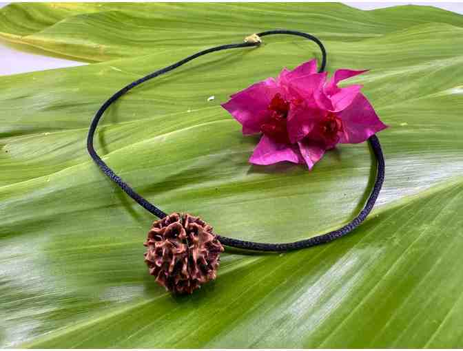 Rudraksha From Tree at Lawai Center Pendant, Natural by Aaron Uyeda