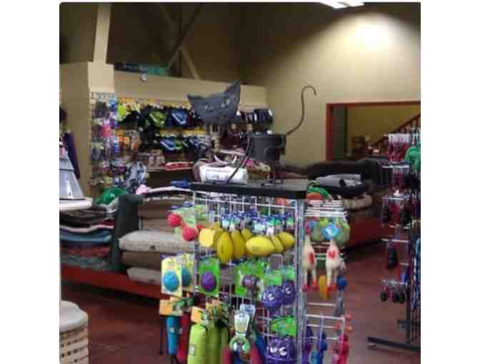 Natural Pet Hawaii 1 - (1) One $100 Gift Certificate