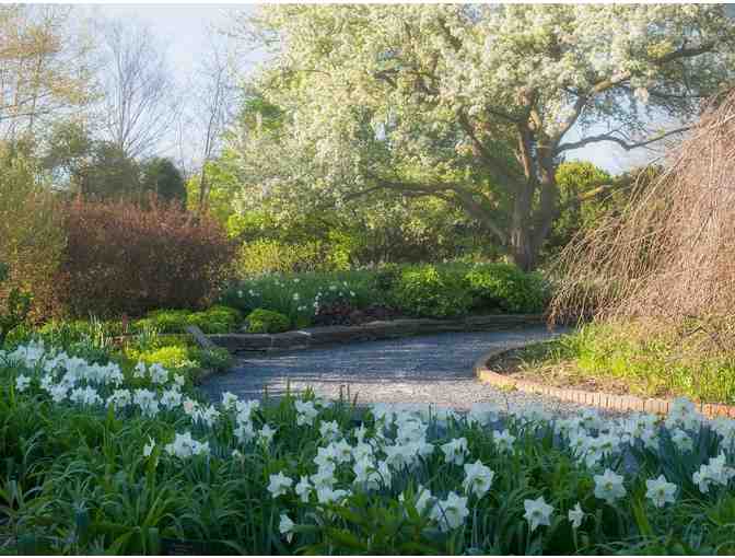A 1-Year Membership at the Chicago Botanic Garden