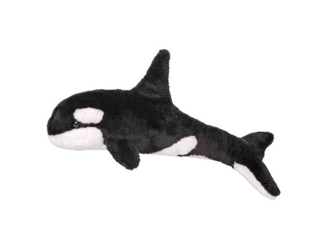 'Good Night, Little Orcas' by Megan Calderon and An Orca Plushie