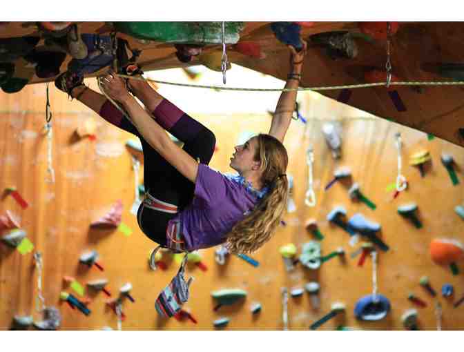 Rocknasium, The Climbing Gym