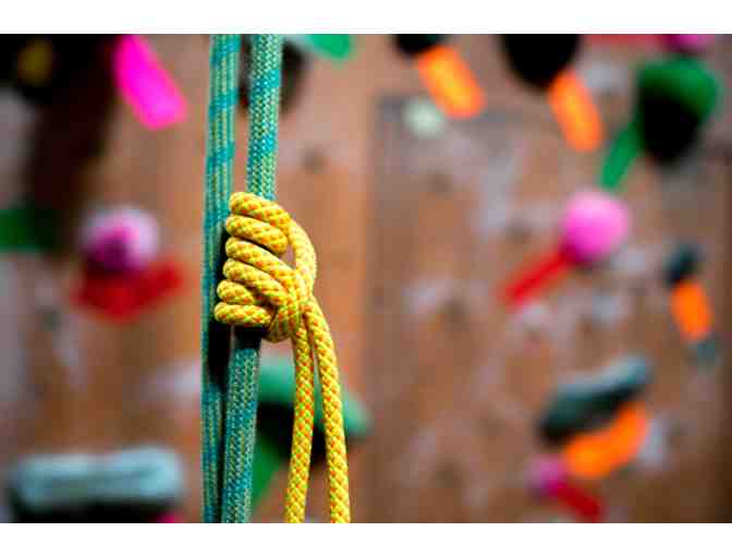 Rocknasium, The Climbing Gym