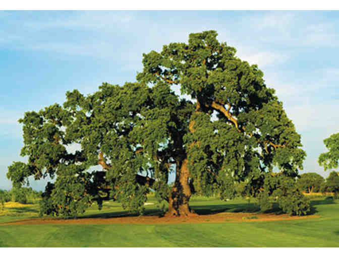 Morgan Creek Golf Club, Round of Golf for Two