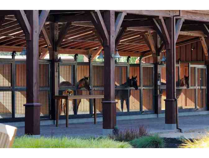 Tamber Bey Vineyards Tour and Tasting for Four Guests