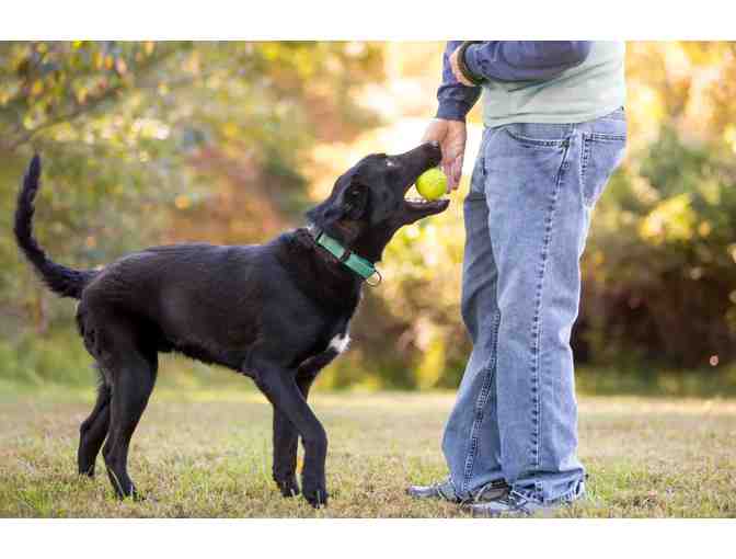 K-9 Waste Removal Services Gift Basket