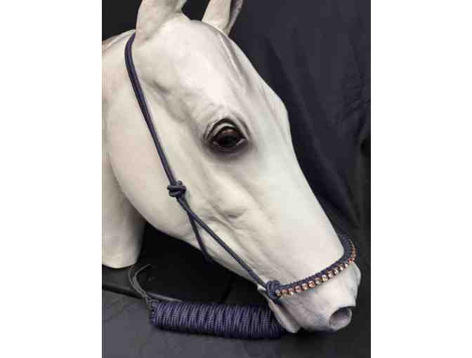 Rose Gold / Navy Crystal Halter with Lead by Cashel Company