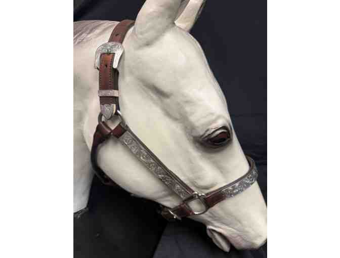 Silver Show Halter
