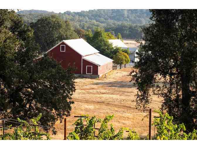 Wine Box by Skinner Vineyards and Winery