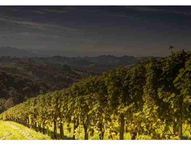 Tasting at Charles B Mitchell Vineyards