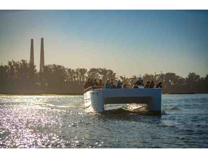 Wildlife viewing at Elkhorn Slough, Monterery Bay Eco Tours