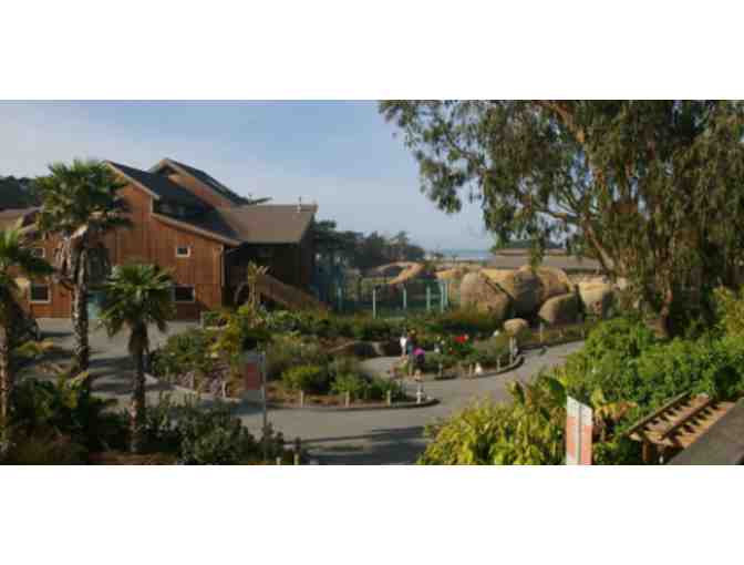 San Francisco Zoo Admission