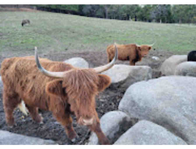 Saluti Cellars Experience