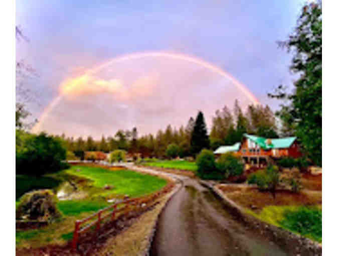 Saluti Cellars Experience