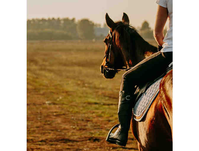 Shadow Glen Stables Trail Ride