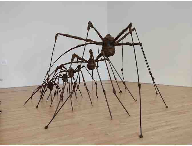 Visit the San Francisco MOMA (Museum of Modern Art)