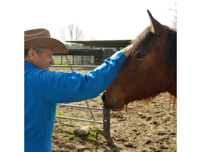 Monty Roberts Introductory Course of Horsemanship
