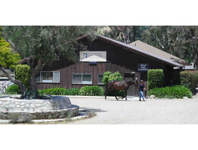 Monty Roberts Introductory Course of Horsemanship