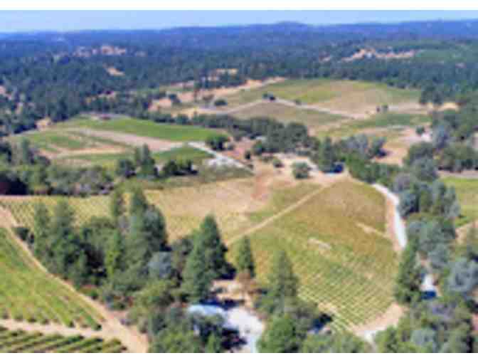 Tasting at Medeiros Family Wines and Wine