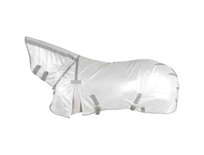 Horse Fly Protection Bundle