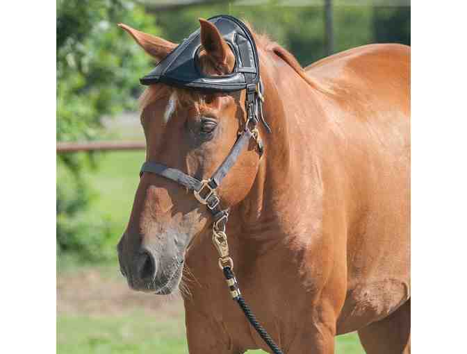 Western Horse Trail Bundle