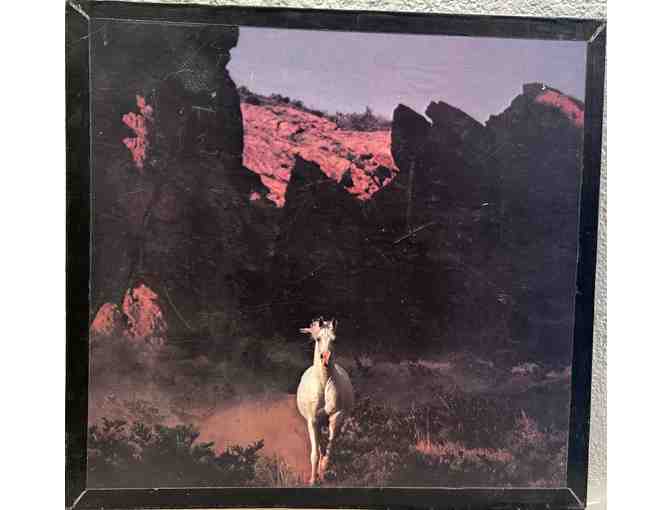 Aramis Arabians - Photo 1