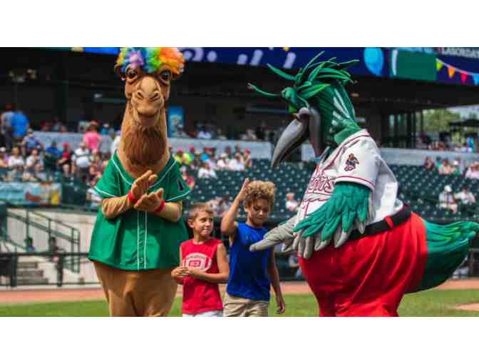 Great Lakes Loons Baseball Tickets