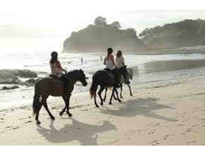 Playa Ponies Horseback Riding Tour