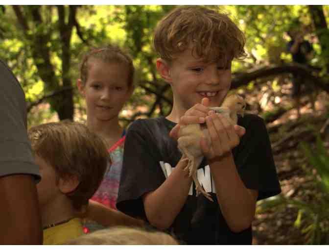 Nosara Day Camp: fun for the kids (free time for the parents!)