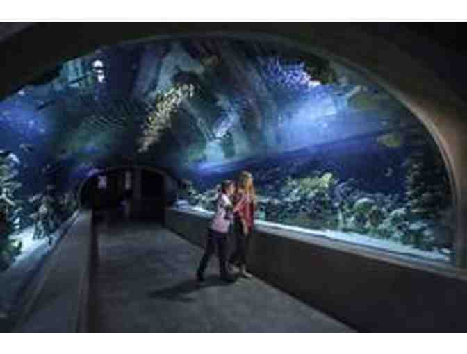 Odysea Aquarium-Admission for Two