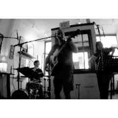 Strange Talking Animals