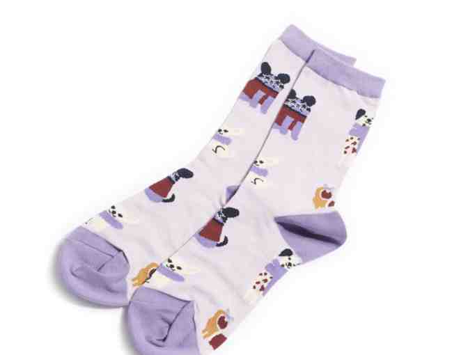 Vera Bradley Essential Crew Socks in Holiday Hounds - Photo 1