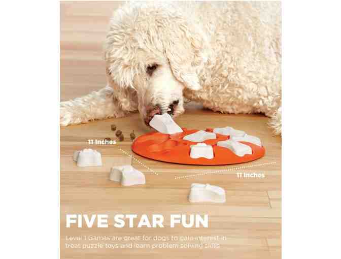 Outward Hound Dog Smart Puzzle