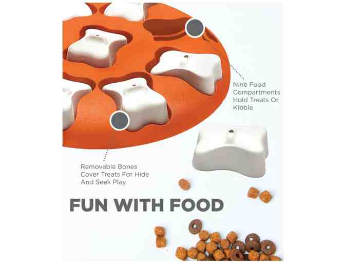 Outward Hound Dog Smart Puzzle