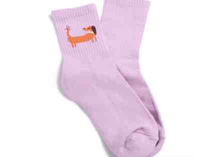 Vera Bradley Quarter Crew Socks in Dog on Orchid Bouquet