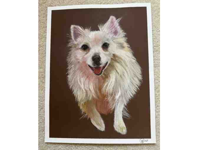 Painting of Your Pet by Stacey Youmans