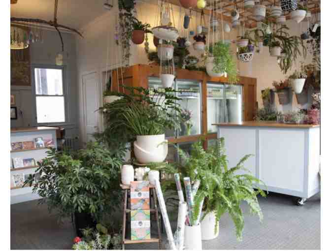 Flowerkraut Florist, $50 Gift Certificate