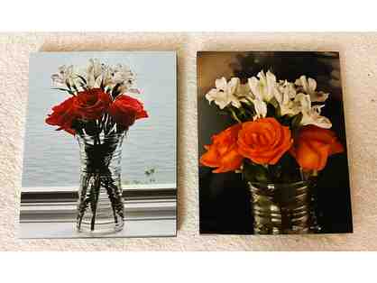 Roses Photographs