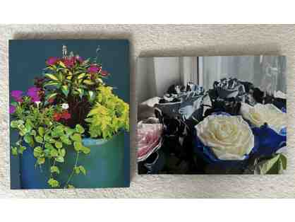 Bursting with Color Photographs