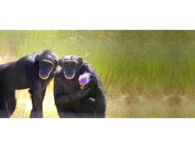 Rare Visit to Chimpanzee Sanctuary Northwest + 2 Nights at the Windrow Hotel and Dinner