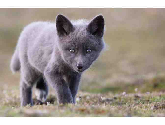 San Juan Island Get Away