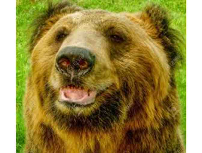 Meet Our Founder, Jill Robinson and Tour The Animals Asia Chengdu Bear Sanctuary