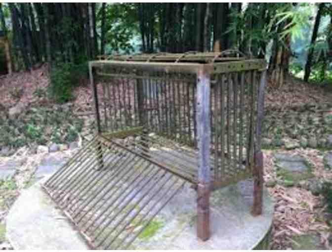 Meet Our Founder, Jill Robinson and Tour The Animals Asia Chengdu Bear Sanctuary