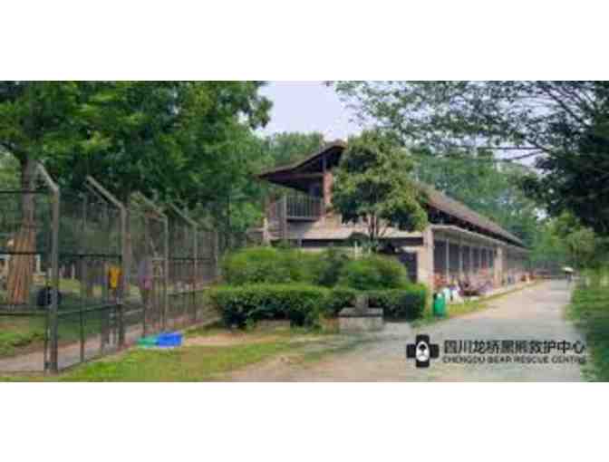 Meet Our Founder, Jill Robinson and Tour The Animals Asia Chengdu Bear Sanctuary