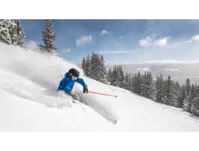 Colorado Mountain Tranquility, Wildlife, and Six Acres of Privacy