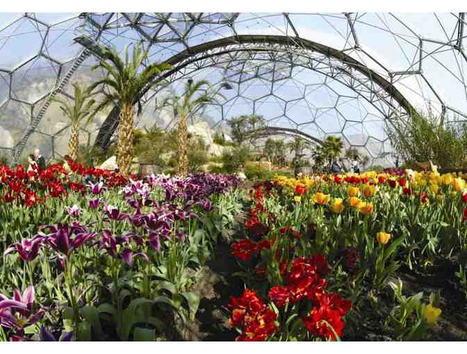 Family Pass to The Eden Project in Cornwall with 3-Night Yurt Stay